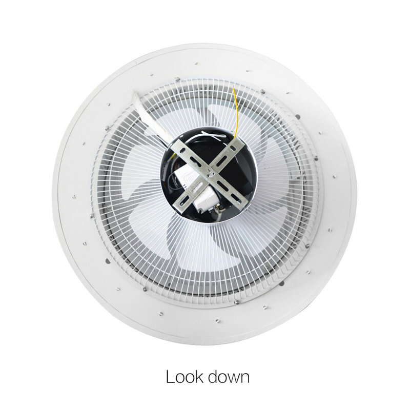 Ivy Bronx Downe 22'' Ceiling Fan with LED Lights & Reviews Wayfair